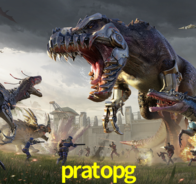 Interface pratopg